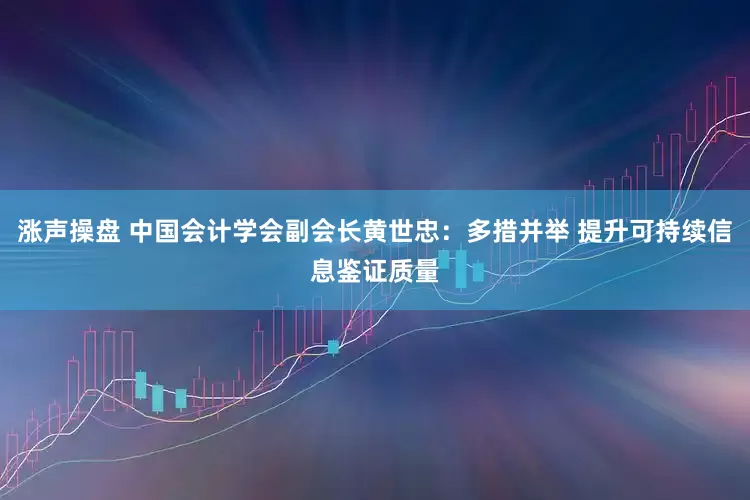 涨声操盘 中国会计学会副会长黄世忠：多措并举 提升可持续信息鉴证质量