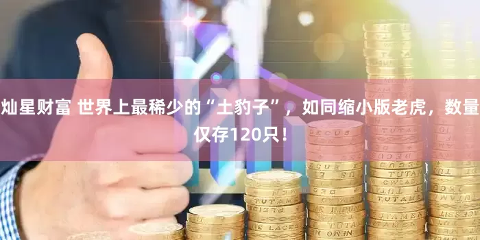 灿星财富 世界上最稀少的“土豹子”，如同缩小版老虎，数量仅存120只！